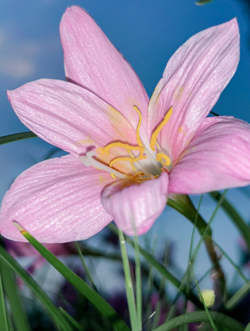 。