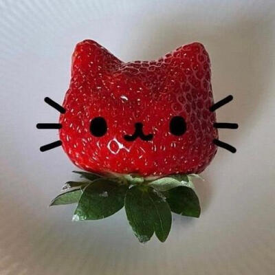 草莓猫猫头