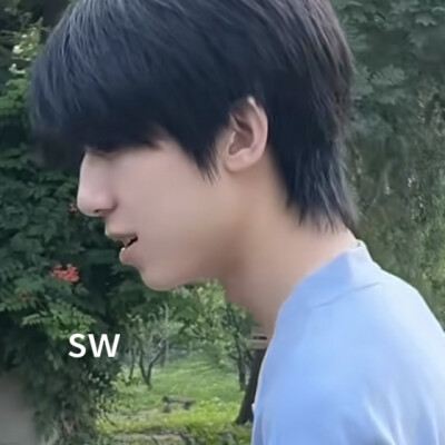 杨博文