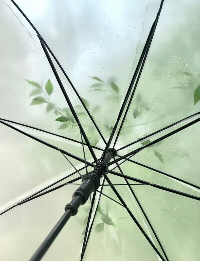 绿