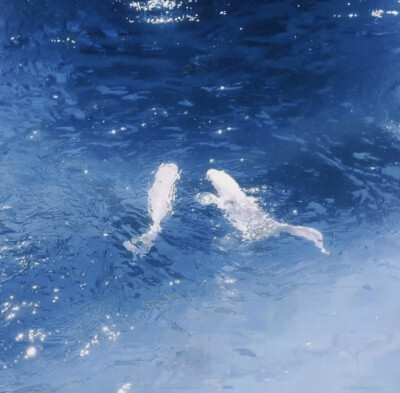 草原尽头我两手空空
悲痛时握不住一颗泪滴