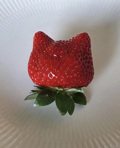 草莓猫猫头