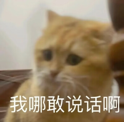 表情包