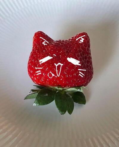 草莓猫猫头