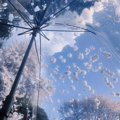 草原尽头我两手空空
悲痛时握不住一颗泪滴