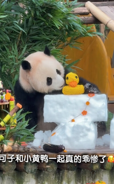 渝可爱生日