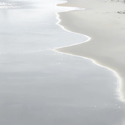 思念汇成一片海