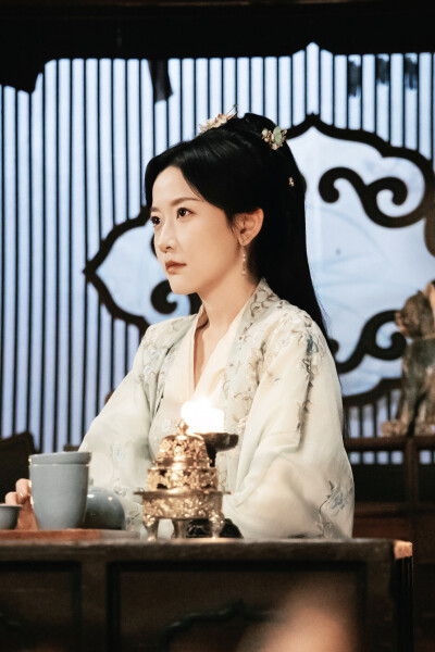 贬妻为妾，医女竟是长公主 萧倾雪