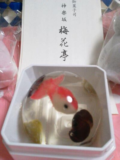 果冻核Jelly core