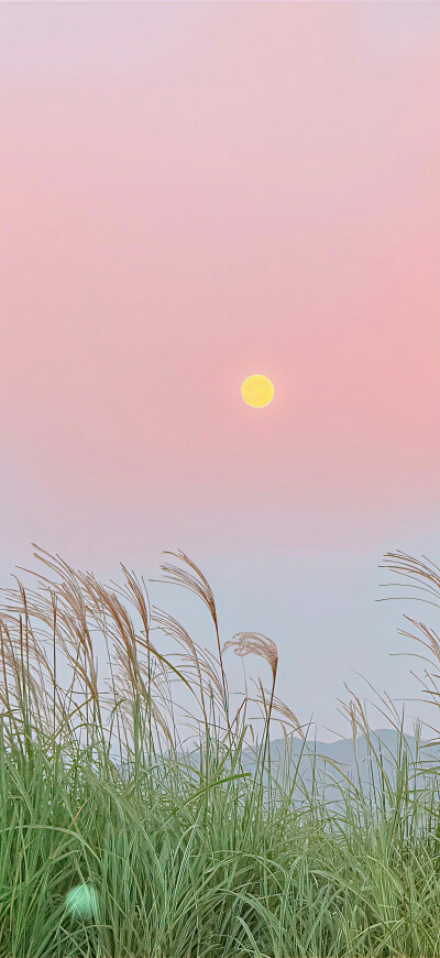 爱像苹果心 酸涩又带有回甘 ​​​
#小清新壁纸#