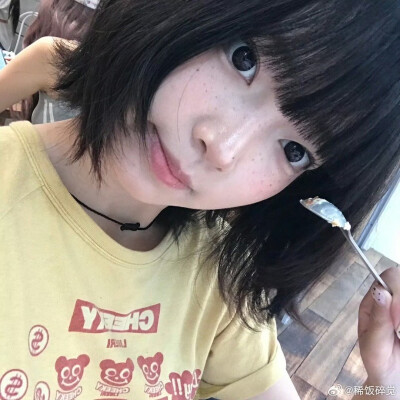 套图
