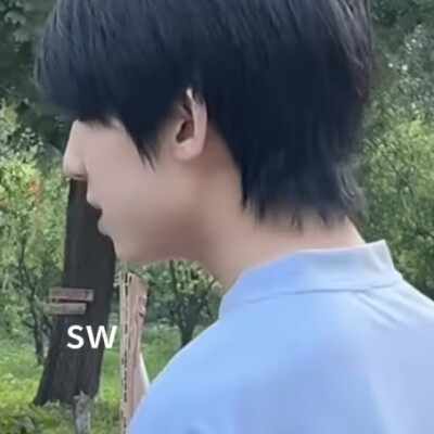 杨博文