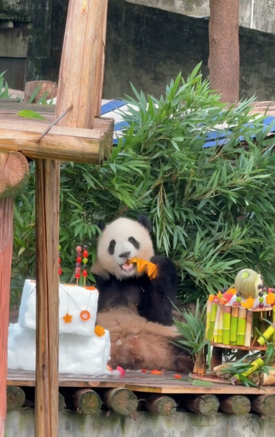渝可爱生日