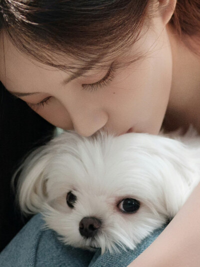 李一桐