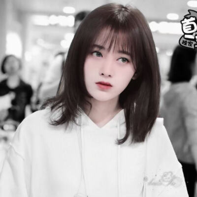 黎鹊