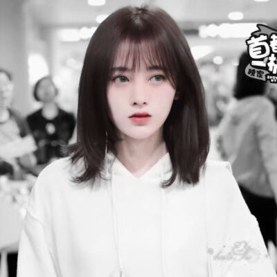 黎鹊