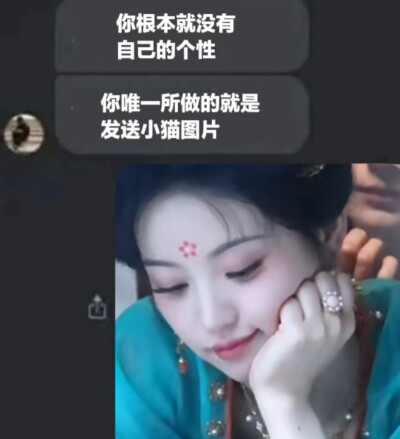 猫猫图新鲜出炉