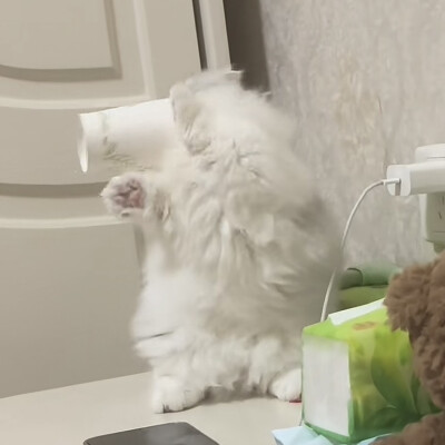 。