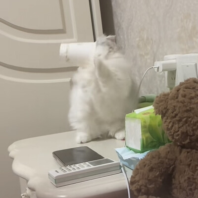 。