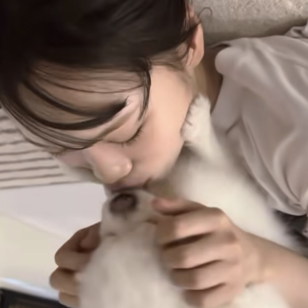 猫猫狗狗缩略图