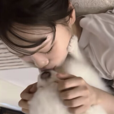 猫猫狗狗缩略图