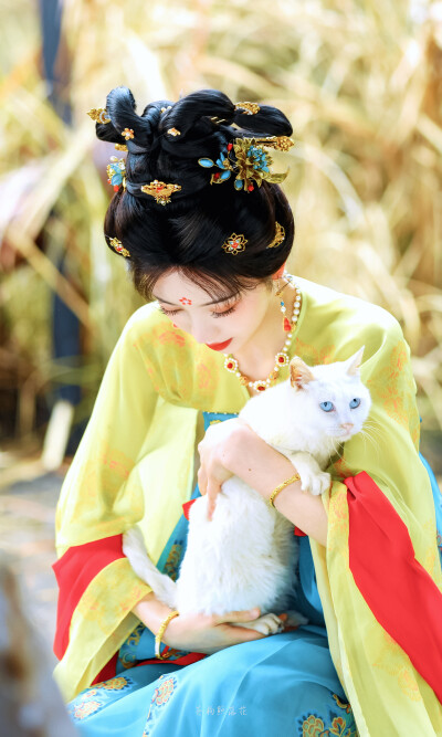 子夜归武祯田曦薇
图cr苍狗照落花