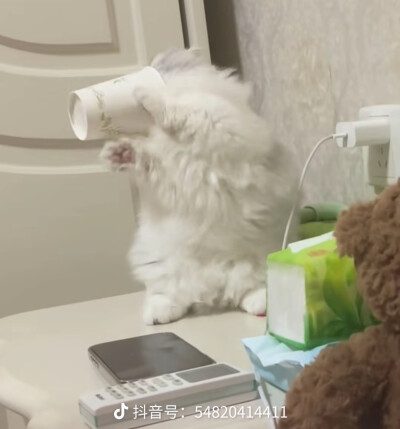。