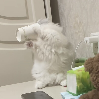 。