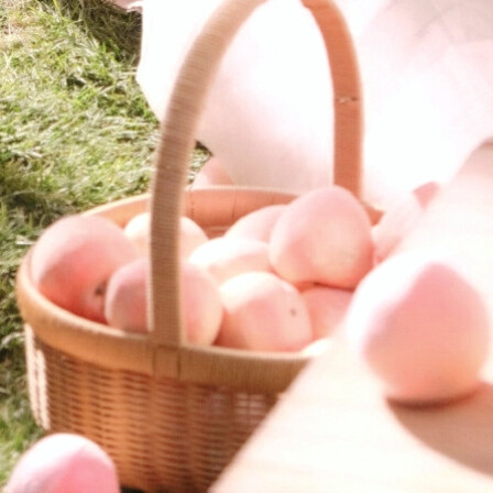 @泪写的从前 偶然发现一组薛柏送我的，几人羡慕