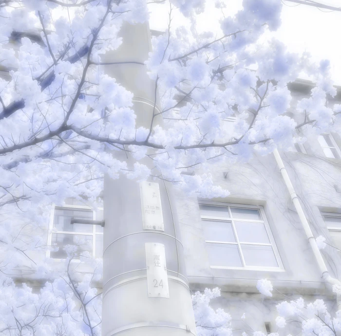 颂椿宝宝送的超萌冬冬