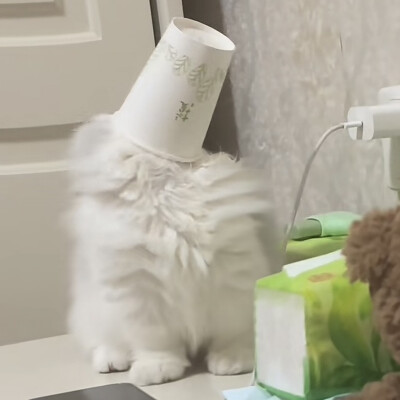 。