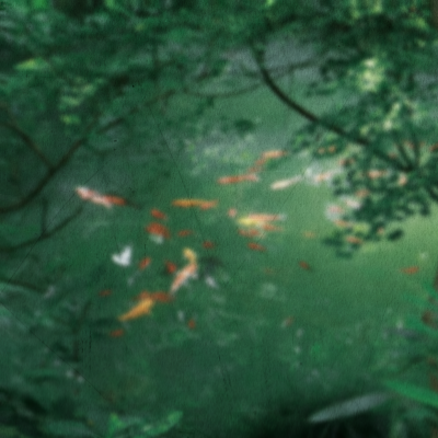 Naissance de l'univers...等待已久的花 × You