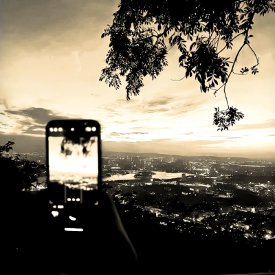 木の影が窓から—"透过窗户洒入阳光"