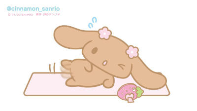 三丽鸥可爱玉桂狗家族和摩卡