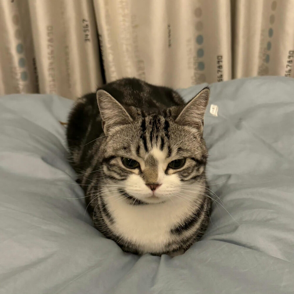 你在 我就无比开心ପ( ˘ᵕ˘ ) ੭ ☆