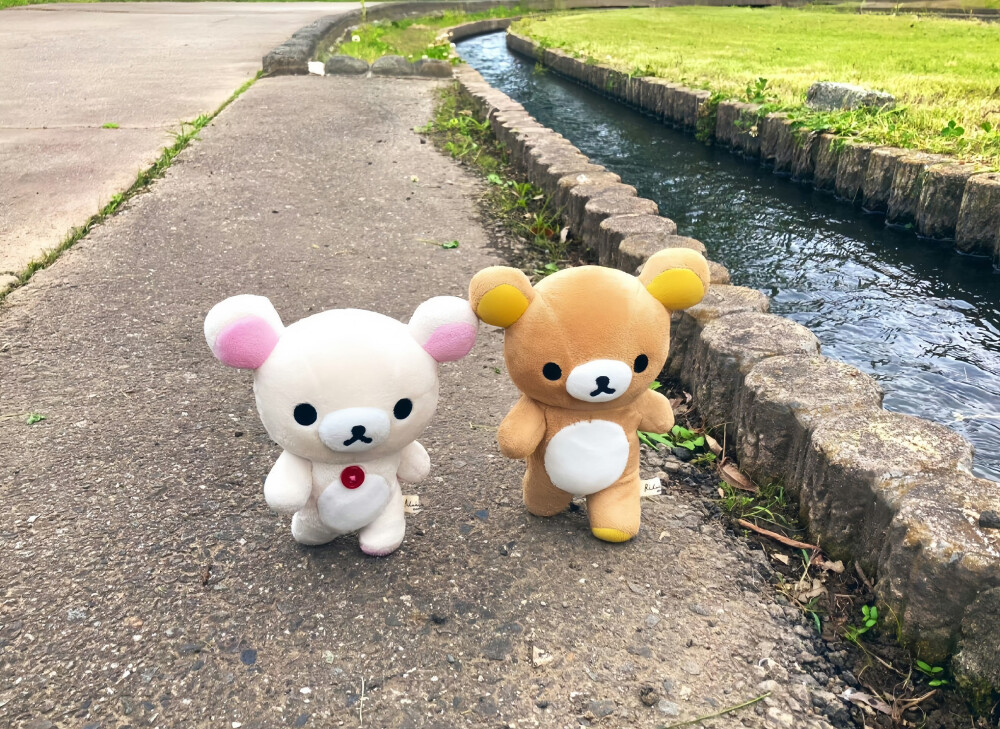 可爱iPad平板壁纸 >ヮ< ​​​
#iPad壁纸##电脑壁纸#