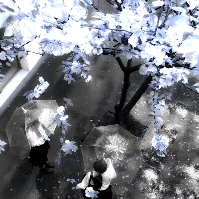 
宝宝 不是我不公布你 而是我捡到100块会发朋友圈 但是我捡100w是不会发朋友圈的 明白我的意思吗