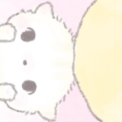 这组太爱了