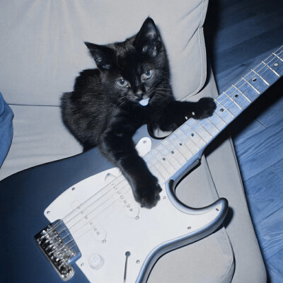 猫是怎么叫的：喵喵 羊是怎么叫的：咩咩 牛是怎么叫的：哞哞 狗是怎么叫的：首先我不是变态，我确实没有什么幻想，毕竟我不是变态。但是该说不说的，我真的不是边台。我也确实说不喜欢，因为这个确实是挺美的，我就…