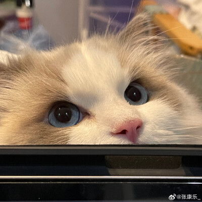 。