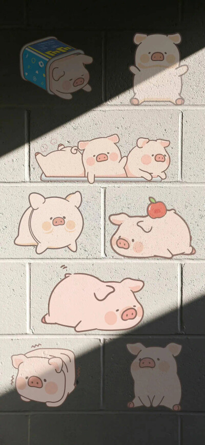 壁纸