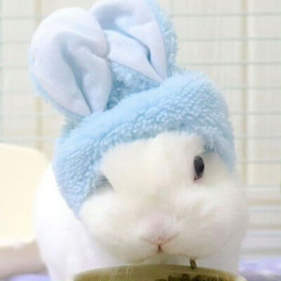 你在 我就无比开心ପ( ˘ᵕ˘ ) ੭ ☆