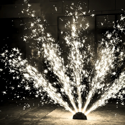 木の影が窓から—"透过窗户洒入阳光"