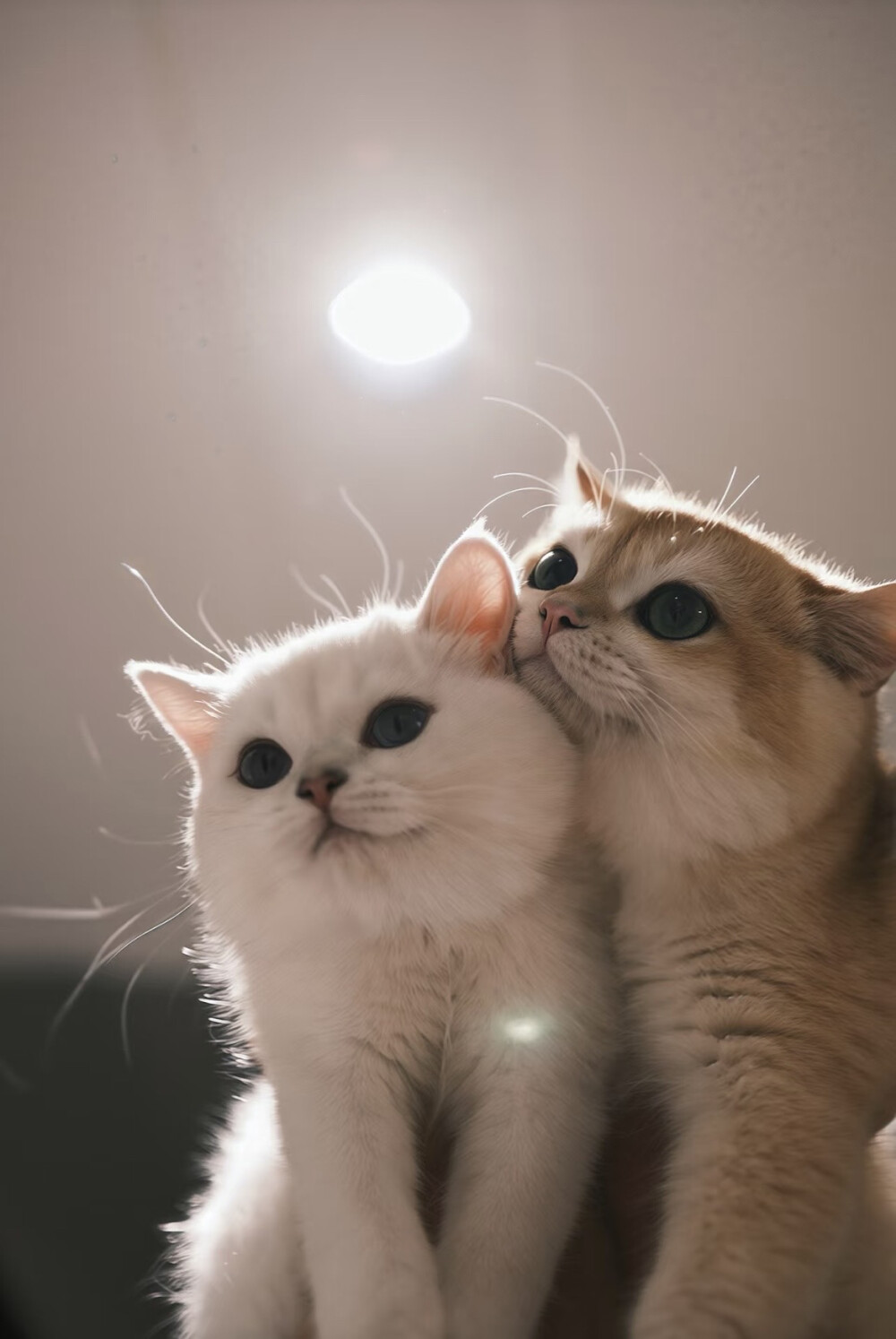 。