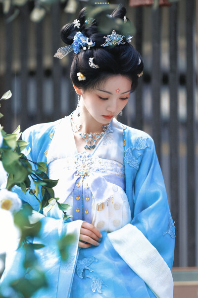 田曦薇 子夜归