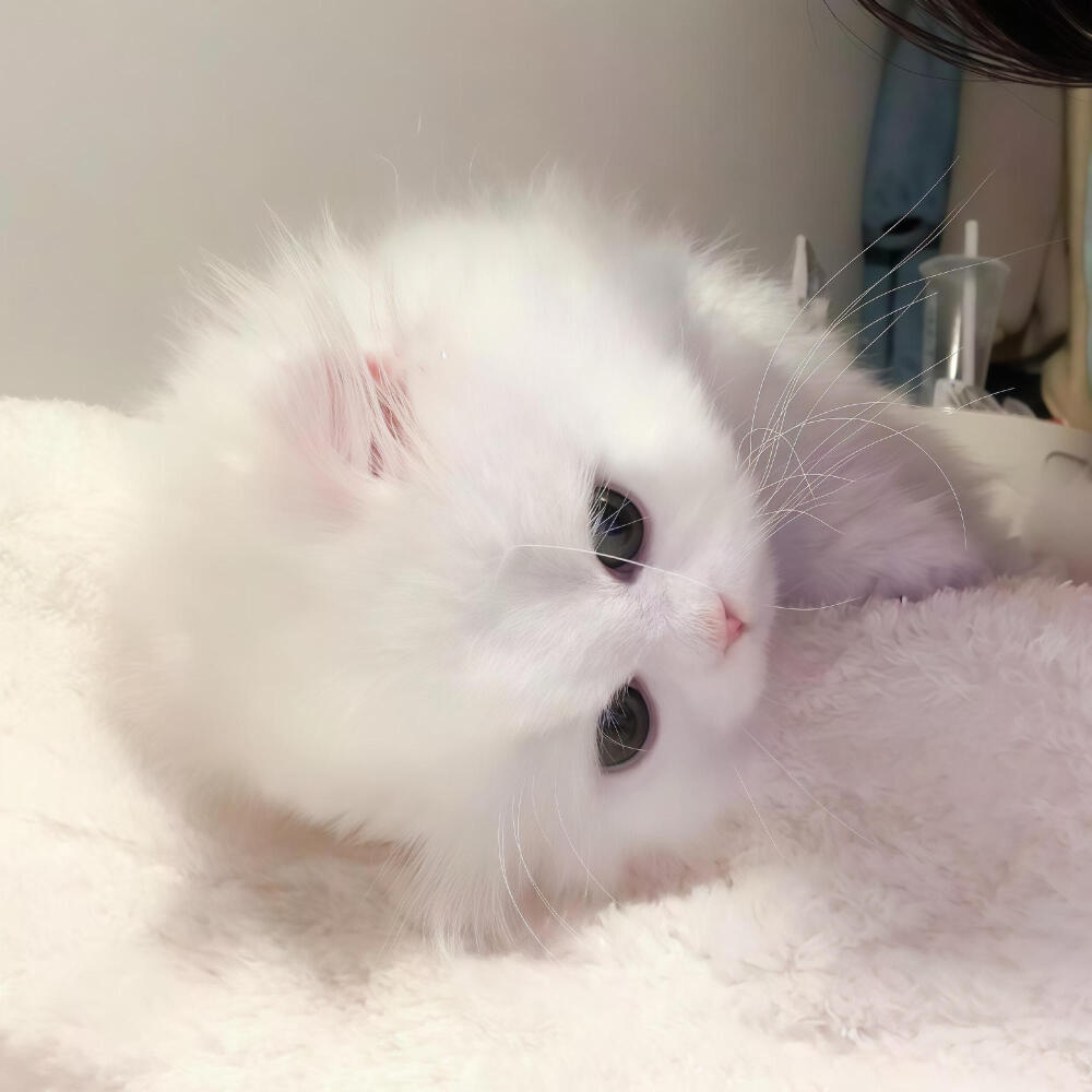 你在 我就无比开心ପ( ˘ᵕ˘ ) ੭ ☆