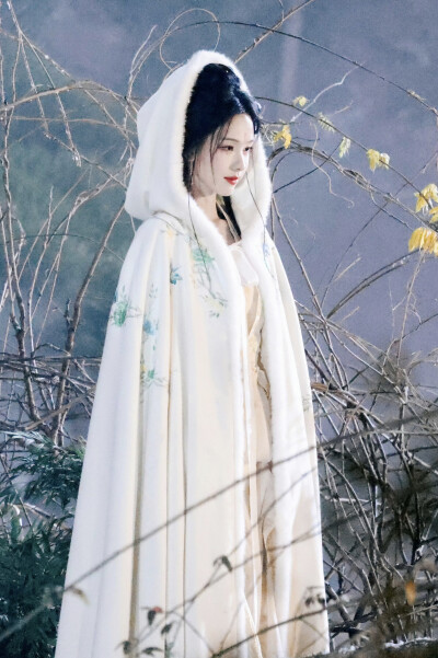月鳞绮纪 雾妄言