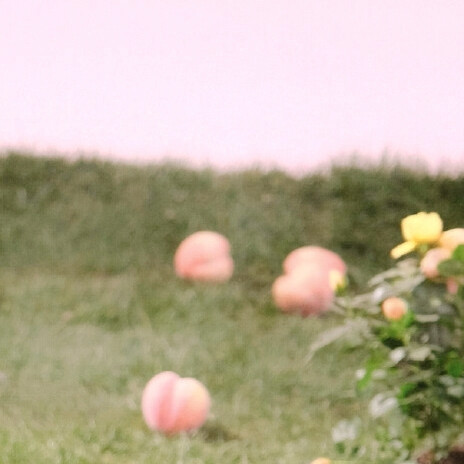 @泪写的从前 偶然发现一组薛柏送我的，几人羡慕