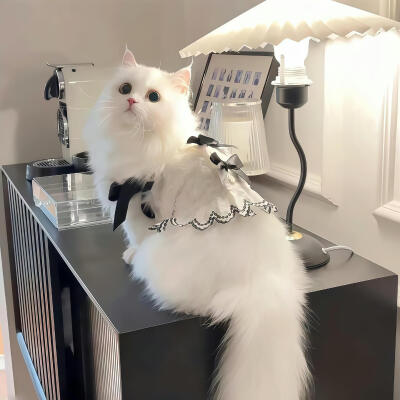 你在 我就无比开心ପ( ˘ᵕ˘ ) ੭ ☆