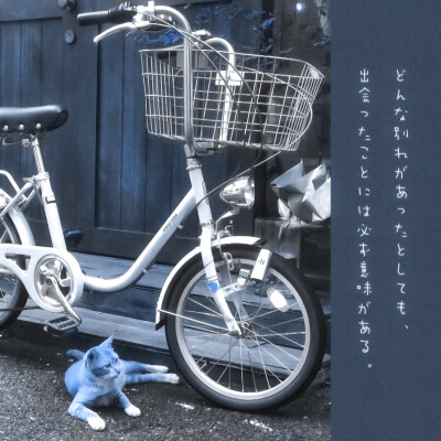 猫是怎么叫的：喵喵 羊是怎么叫的：咩咩 牛是怎么叫的：哞哞 狗是怎么叫的：首先我不是变态，我确实没有什么幻想，毕竟我不是变态。但是该说不说的，我真的不是边台。我也确实说不喜欢，因为这个确实是挺美的，我就…